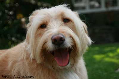 Whos a pretty boy?