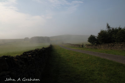 Misty morning