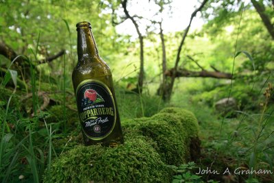 Shades of green