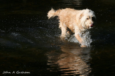 Splish splash