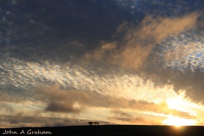 Elephant sunrise