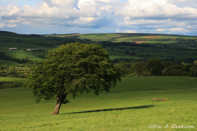 g4/61/523761/3/143853492.O1KJS1l2.jpg
