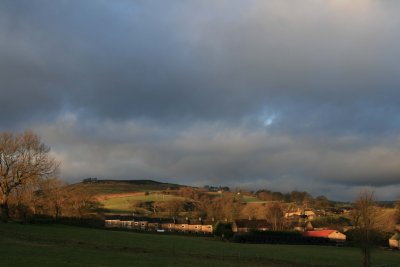 White Kirkley one morning