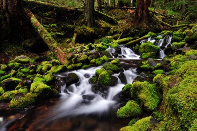 Sol Duc Falls Trail, Creek Study 2b