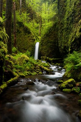 Lower Ruckel Creek Falls, 2011-2