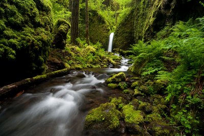 Lower Ruckel Creek Falls, 2011-3