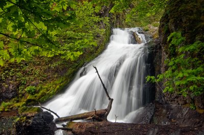 Upper Dog Creek Falls #2
