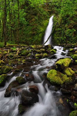 Ruckel Creek Falls, 2011-1