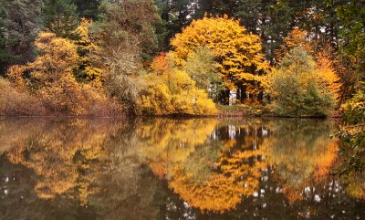 Cronemiller Lake Reflection