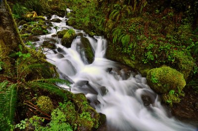 Tish Creek