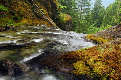 Henline Creek above Jerry Falls