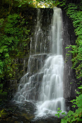 Upper Coopey Falls, Study #1