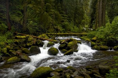 Multnomah Creek #5