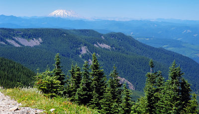 Mount Saint Helens from Chinidere