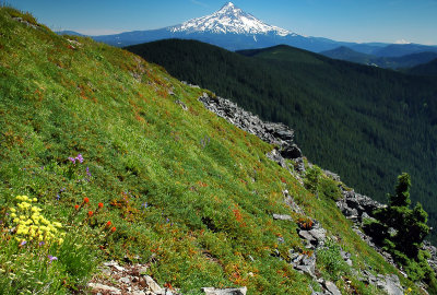 Mount Hood from Chinidere #1