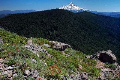 Mount Hood from Chinidere #3