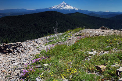 Mount Hood from Chinidere #4