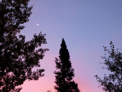 Crescent moon at sunrise