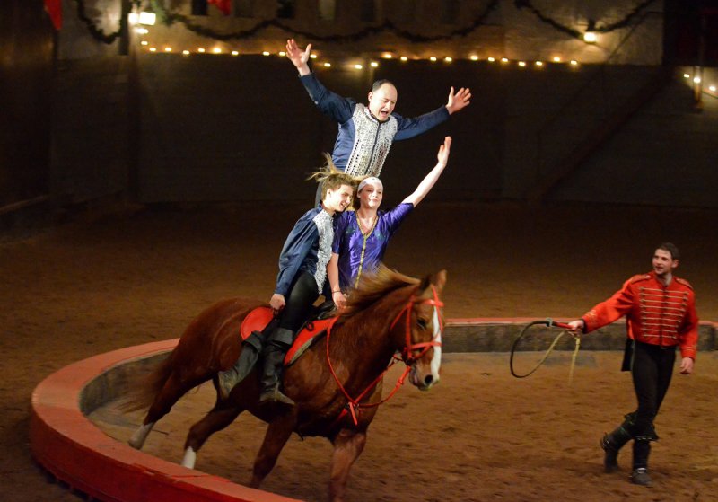 Noble Horse Theater, Chicago