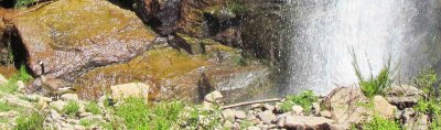 MIMG_0466E1W.jpg