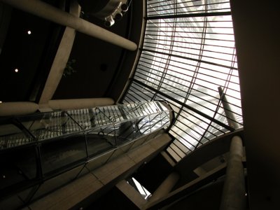 Picture 006.jpg