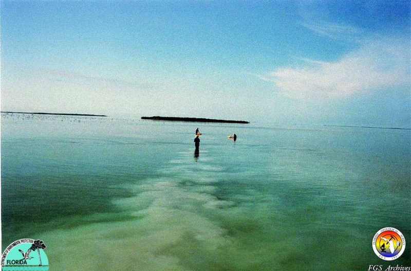 Keys Florida Bay sampling2.jpg