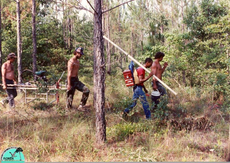 equipment for laying seismic line.jpg