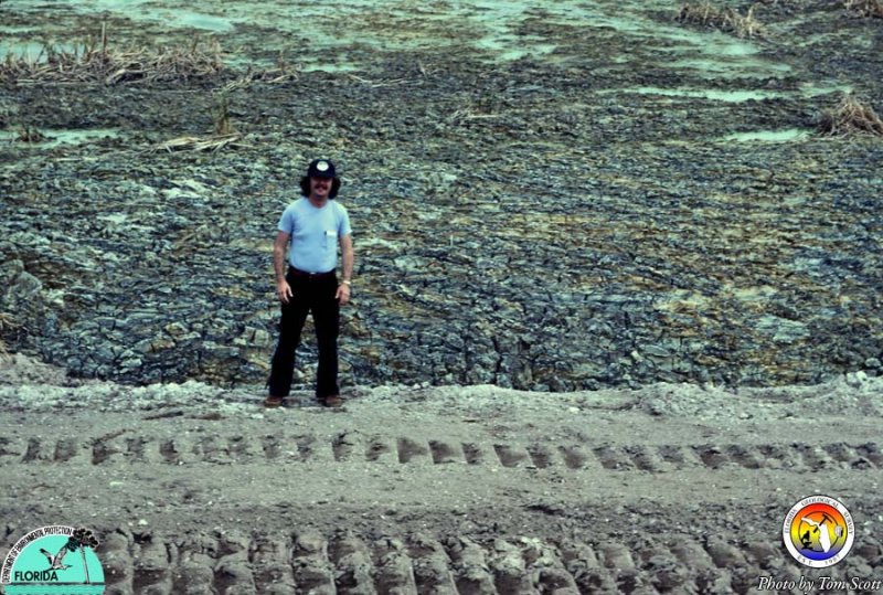 Dry slimes Polk Co.jpg
