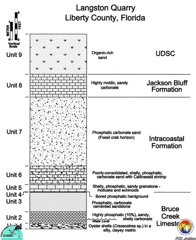 langston-section003.jpg