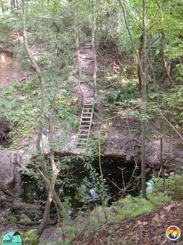 Mill Branch Sink Alachua Co.jpg