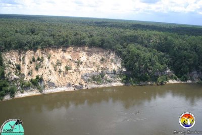 alum_bluff_and_apalachicola_river