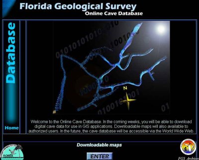 FGS Web Cave Database home page.jpg