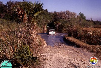 Big Cypress.jpg