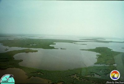 Everglades Florida Bay.jpg