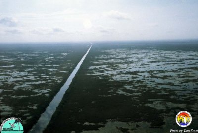 Everglades canal.jpg