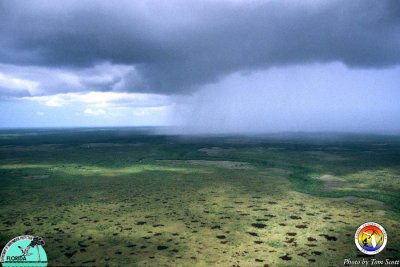 Everglades rain.jpg