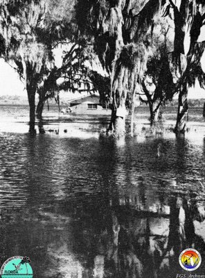 Flooding-in-1966.jpg