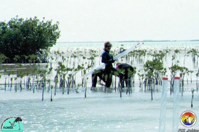 Florida Bay sediment sampling.jpg