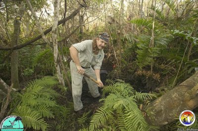 Tom Scott Filling Holes everglades tree island.jpg