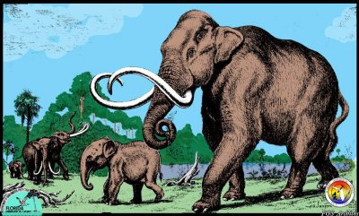 Pleistocene mammoth.jpg