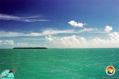 Florida Bay whitecaps.jpg