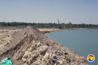 Fla Rock Gulf Hammock Eocene.jpg