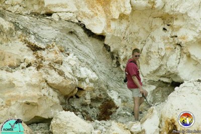 Karst and chert Harley Means Vulcan Hernando Co2.jpg