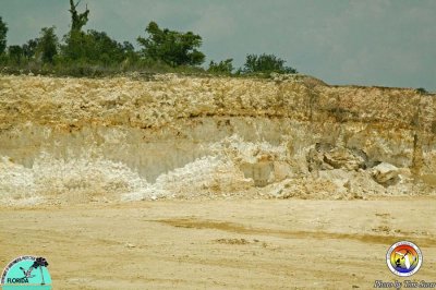 Karst features Vulcan Quarry Hernando co2.jpg