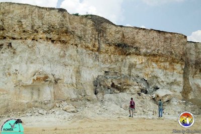 Karst features Vulcan Quarry Hernando co3.jpg