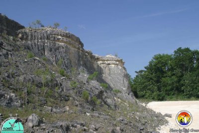 Marianna Limestone in Abandoned Quarry.jpg