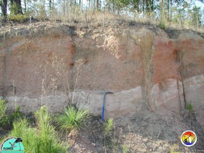 Channel Fill of Citronelle.jpg