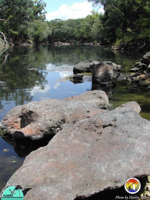 Chert on Withlacoochee.jpg