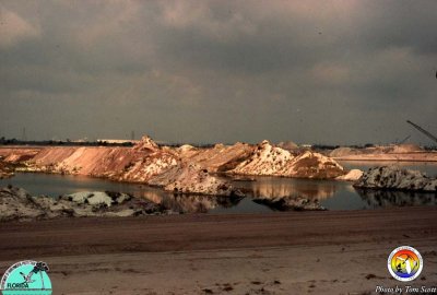 Phosphate mine Polk Co.jpg