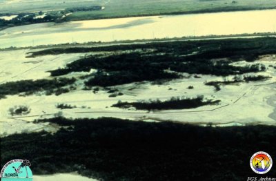 Phosphate mine sand tailings Polk Co.jpg